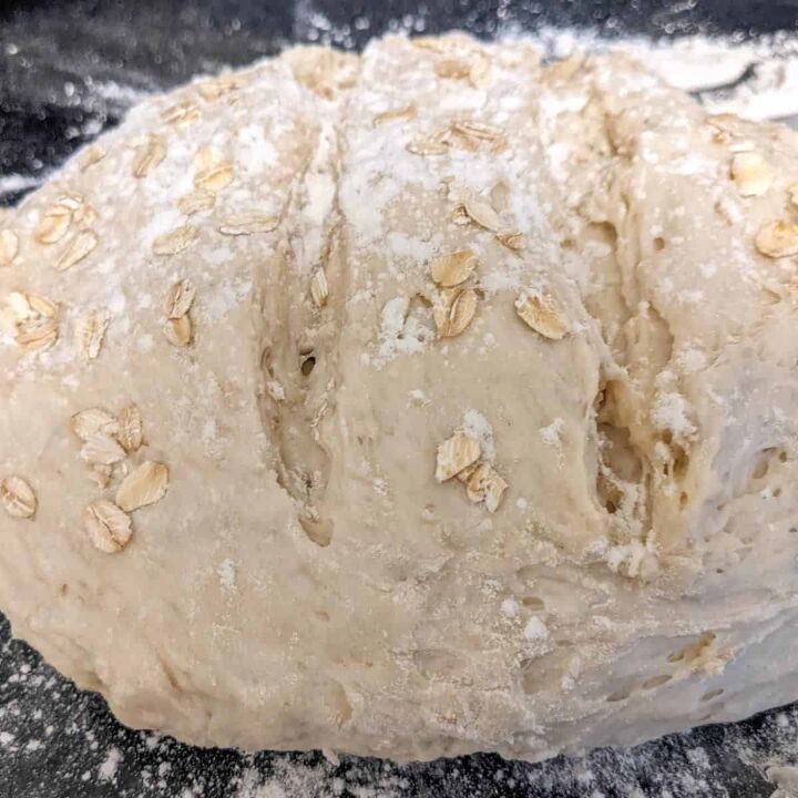whole grain artisan bread recipe, Whole Grain Artisan Bread Recipe 5