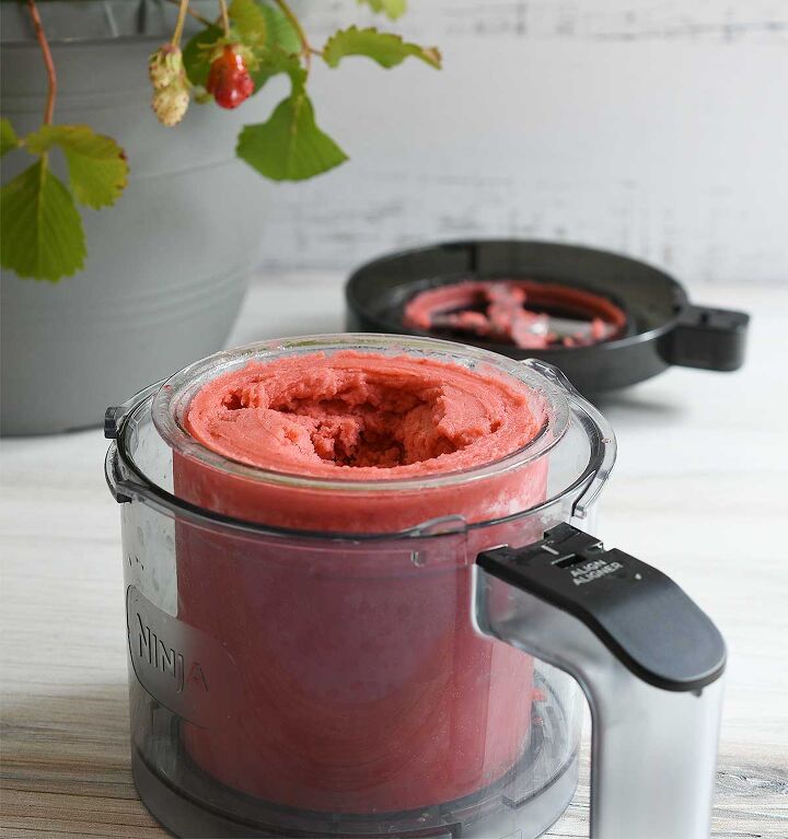 Strawberry sorbet that s just been spun in an outer bowl the creamizer blade and outer lid behind it with a strawberry flower with a strawberry plant in the background