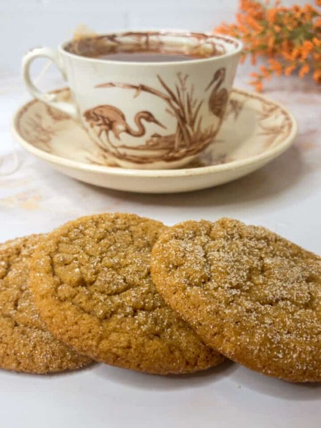 easy fourth of july cookies with m ms, Three Ginger snap cookies with a cup of tea