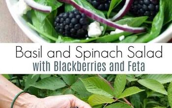 Basil and Spinach Salad With Blackberries and Feta