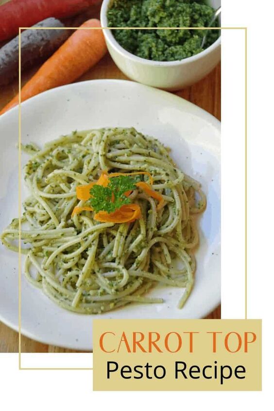 Homemade Carrot Top Pesto Recipe with Brown Rice Pasta