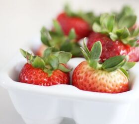 strawberry yogurt bars