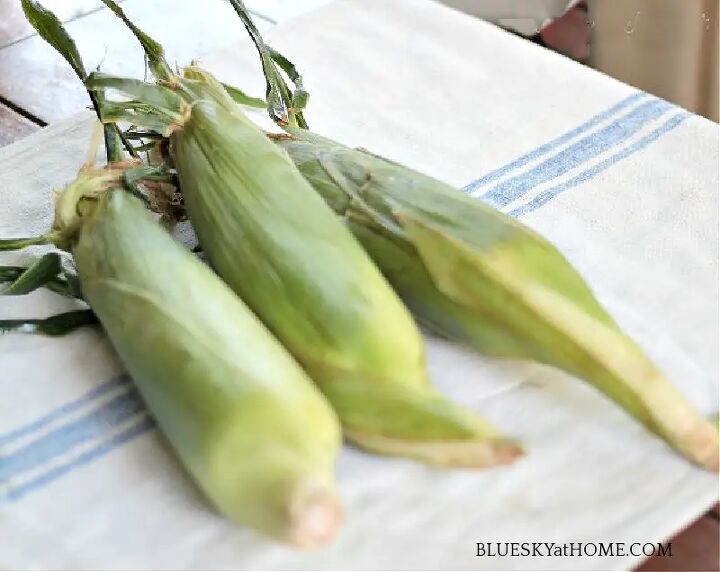 delicious southern summer creamed corn recipe, Creamed Corn