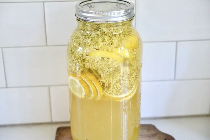 simple homemade elderflower syrup recipe, large mason jar with elderflower and lemon syrup on kitchen counter