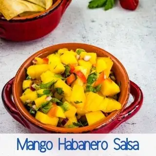 cold corn dip, Mango Habanero Salsa