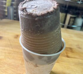 chocolate limber