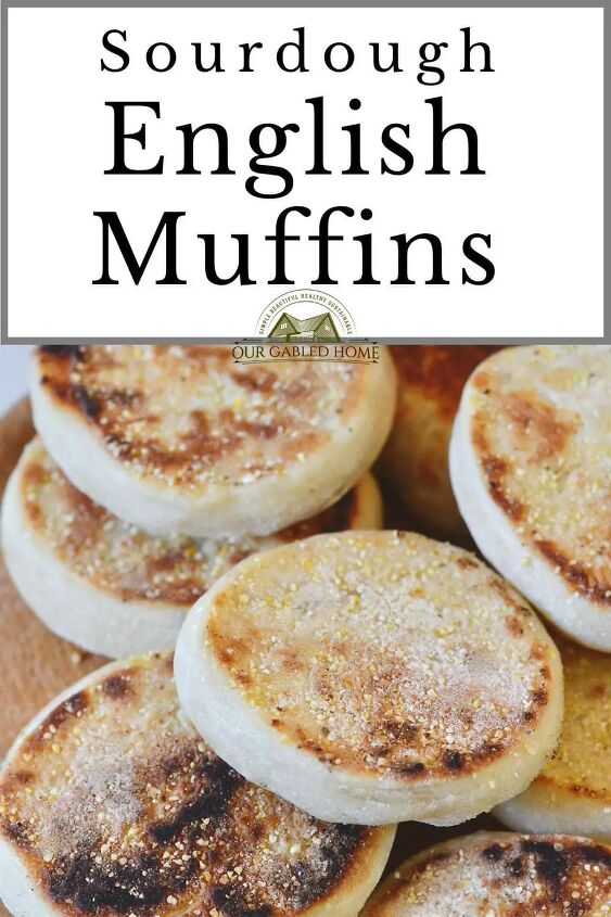 easy sourdough english muffins, How to Make Sourdough English Muffins