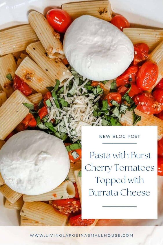 pasta with burst cherry tomatoes topped with burrata cheese