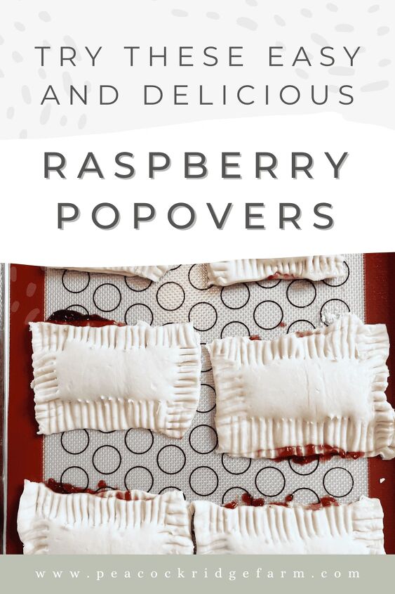 Drawing Raspberry Popover How to Make Easy and Delicious Raspberry Popovers | Foodtalk