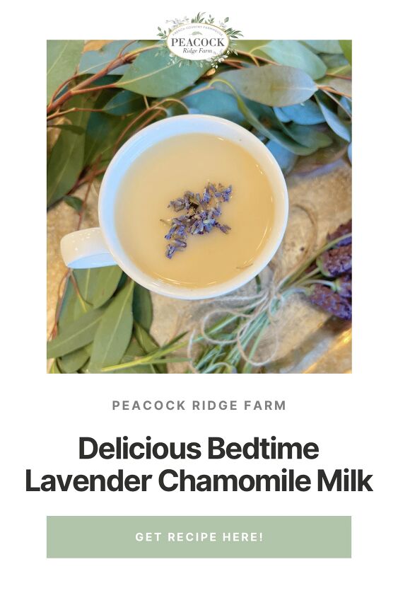 how to make delicious bedtime lavender chamomile vanilla milk