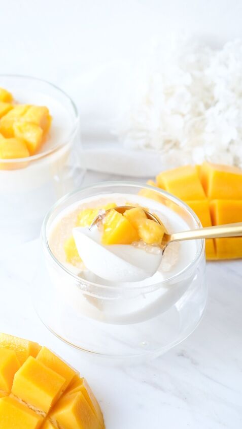 coconut pudding with mango sago