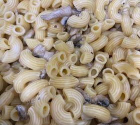 Pasta in Cream and Mushrooms