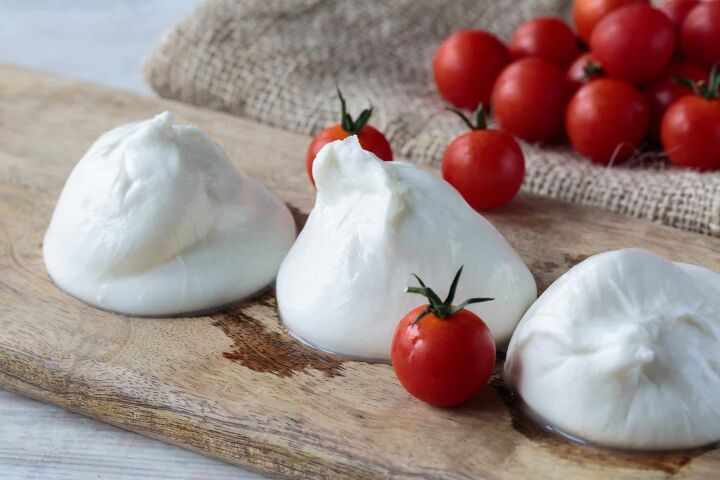 roasted tomatoes and garlic on fresh burrata cheese recipe, Fresh delicious burrata cheese typical from Apulia region Italy and cherry tomatoes