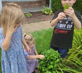 Deliciously Nutty: Making Pesto With Cashews Instead of Pine Nuts | Foodtalk