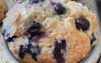 Blueberry Muffins