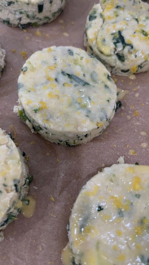 gluten free cheesy herb scones