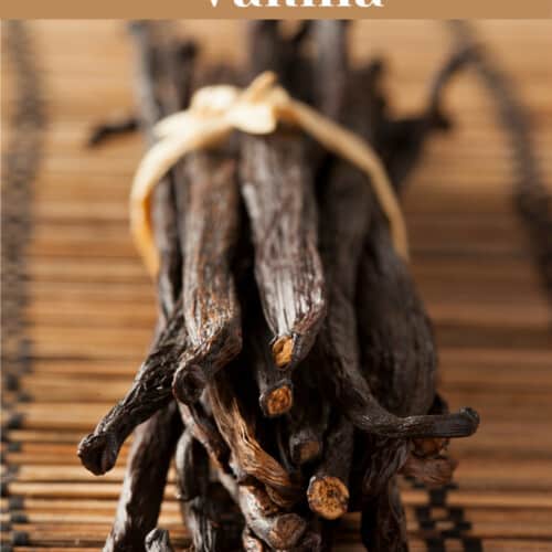 homemade spanakopita recipe, A guide to vanilla