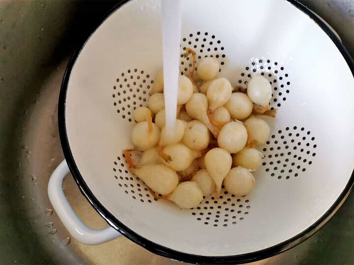 vegan creamed onions recipe, Pearled onions in a white colander are rinsed
