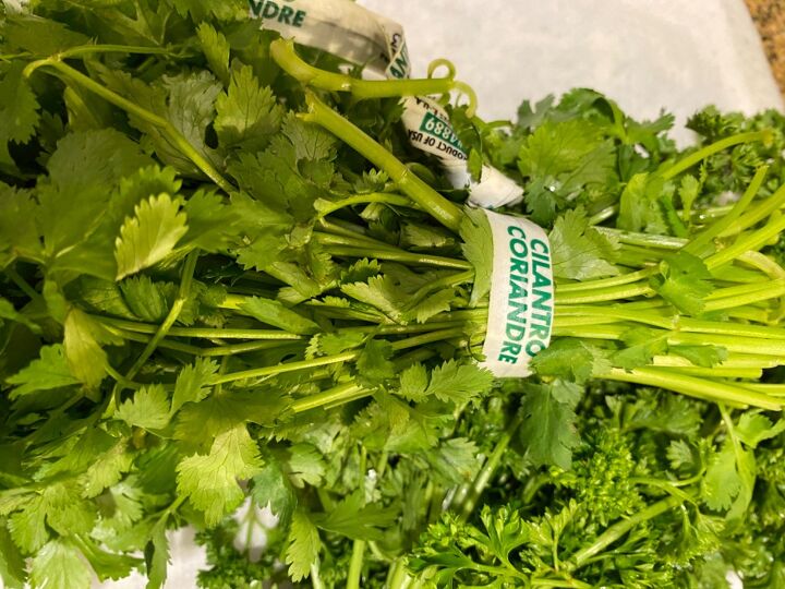 healthy cilantro lime dressing