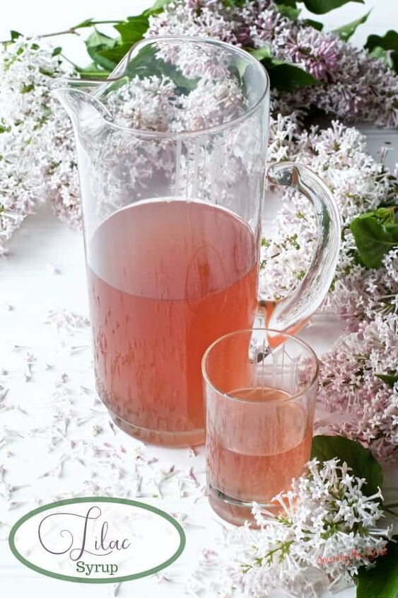lilac syrup, lilac syrup in a glass pitcher