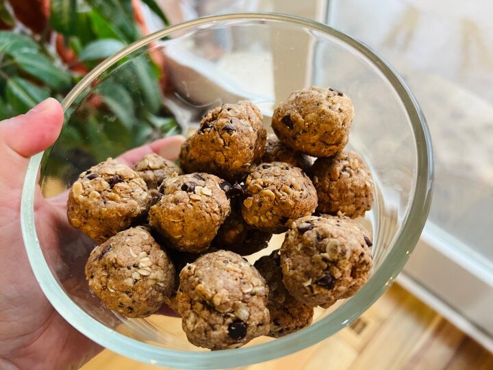 oatmeal cookie protein balls