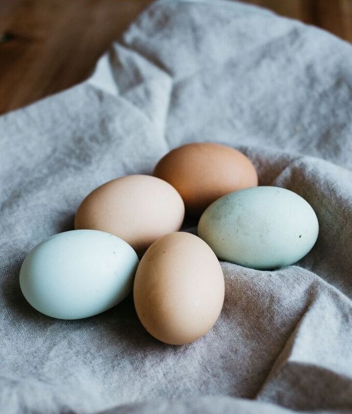 Easy Spanish Zucchini Tortilla Recipe | Foodtalk Easy Spanish Zucchini Tortilla Recipe | Foodtalk