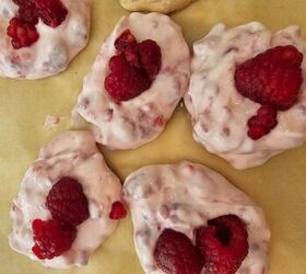 frozen low fat yogurt bites