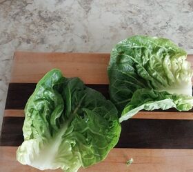 tuna salad lettuce wraps