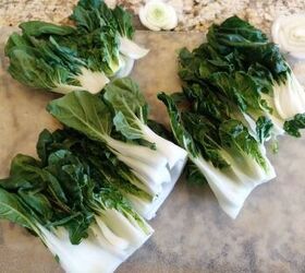 baby bok choy and tofu stir fry, Sliced baby bok choy