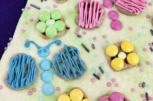 This fun recipe is about to become one of your kid's favorite things EVER