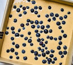 pumpkin blueberry cheesecake bars