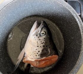 Salmon Head Soup Foodtalk