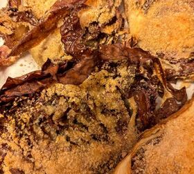 baked radicchio with parmesan and breadcrumbs