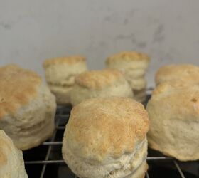 Simple Scones