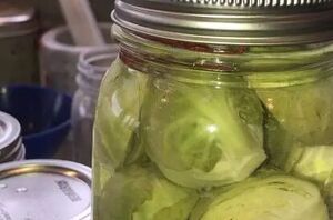 Everything you need to know about how to pickle Brussels sprouts (easier than you think!)