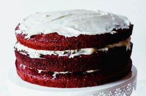 With a few easy ingredients you will have the perfect soft & rich holiday cake