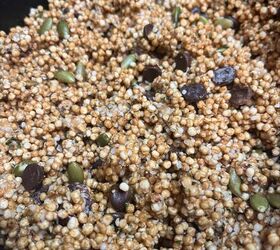 Puffed Quinoa Protein Balls