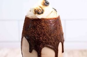 The one and only thing you're going to want on the next snow day