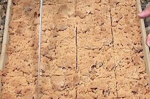 This apple bar recipe is seriously one of their all-time favorite recipes