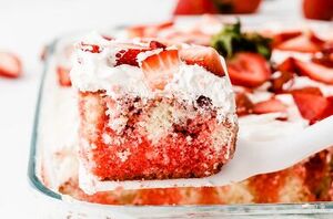 This cake is the perfect combo of light, moist, sweet, melts right in your mouth, and heavenly