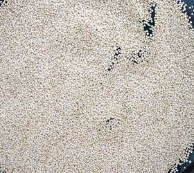 crunchy quinoa chocolate date bark a healthy ish sweet treat, step 1 to make the Crunchy Quinoa Chocolate Date Bark Recipe toast the quinoa