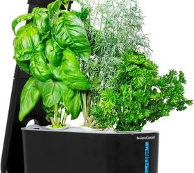 10 best herb growing kits to start your own kitchen garden, 7 AeroGarden Sprout