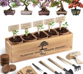 10 best herb growing kits to start your own kitchen garden, 10 Grow Buddha Bonsai Herb Kit