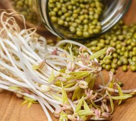 baked cabbage with bacon simple and delicious, Mung bean sprouts and mung beans on a cutting board