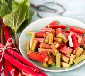 old fashioned rhubarb custard pie recipe, rhubarb in the garden