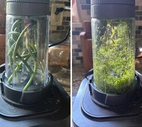 easy diy garlic scape salt recipe, side by side images of garlic scapes before pulsing and after they ve been chopped