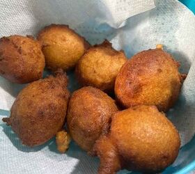 sourdough discard ricotta donuts with fresh milled flour, Zeppole Italian Ricotta Donut balls straining in a paper towel