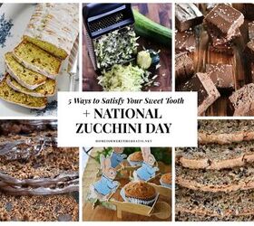 incredibly fudgy zucchini brownies