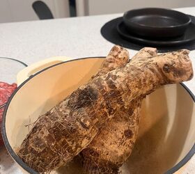 italian puerto rican braised beef with mashed yautia lila, Yautia Lila