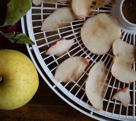 air fryer apple chip recipe, Photo Credit The Sifted Field